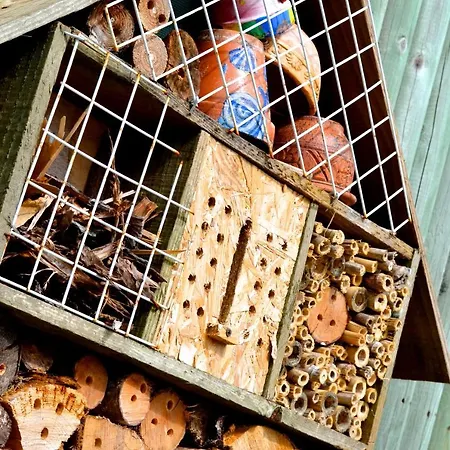 Feriehus Et - Les Buissonnets