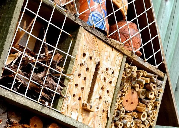 Vakantiehuis Et - Les Buissonnets